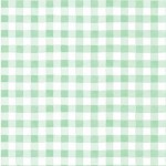 ICY GINGHAM