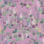 DESERT GARDEN