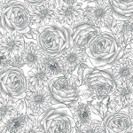 TIMELESS TOILE