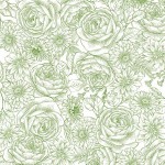 TIMELESS TOILE