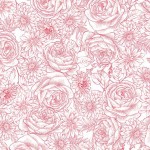 TIMELESS TOILE
