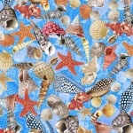 UNDER THE SEA-SEASHELLS