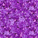 LILAC BLOOM