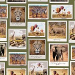 SAFARI ALBUM