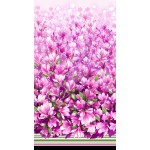 MAGNOLIA MAGIC BORDER