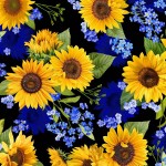 SUNFLOWER BLOOMS
