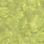 PATINA