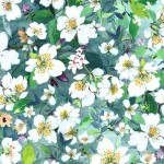 LAKE FLOWER