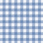 PLUSH GINGHAM