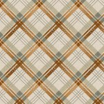 OUTDOOR PLAID