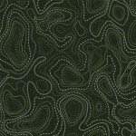 TOPOGRAPHY MAP