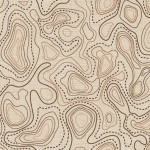 TOPOGRAPHY MAP