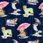 DOGS IN THE RAIN
