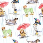 DOGS IN THE RAIN