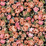 WILD ROSE FIELD