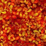 AUTUMN LEAVES