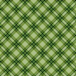 CHECKERED AUTUMN