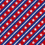 RED AND BLUE STRIPE
