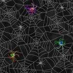 SPIDER WEBS