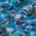 THE EDGE OF WILDERNESS