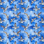 GULLS & SKY