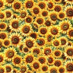 FIELDS OF SUNSHINE