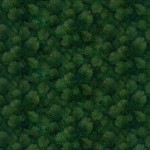 EVERGREEN GRACE on 108" WIDE BACKS
