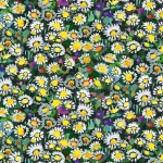 LAWN DAISIES