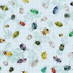 BEETLES AND BUGS