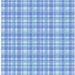 PEPPY PLAID- NOT FOR PURCHASE BY MANUFACTURERS
