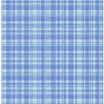 PEPPY PLAID- NOT FOR PURCHASE BY MANUFACTURERS