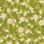 CHAMOMILE