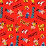 EMERGENCY CALL