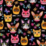 CRAZY CATS