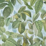 LEAF STALKS