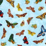 BUTTERFLY ORCHARD