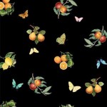 CITRUS AND BUTTERFLIES