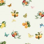 CITRUS AND BUTTERFLIES