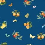 CITRUS AND BUTTERFLIES