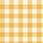 WILD WEST GINGHAM
