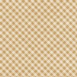 AUTUMN GINGHAM