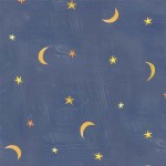 MYSTIC MOON