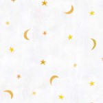MYSTIC MOON