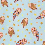 ENCHANTED OWLS