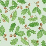LITTLE ACORNS
