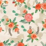 BOHO HORSESHOES