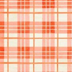 FALL COZY PLAID