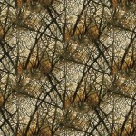 FEATHERED REFLECTION