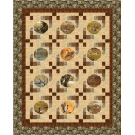 Goin' South Quilt feat. Final Approach by Project House 360- free pattern available May 2026