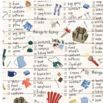 THINGS TO BRING ON MINKY - NOT FOR PURCHASE BY MANUFACTURERS